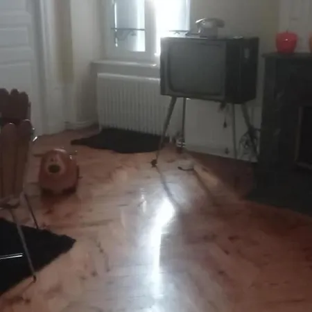 Appartement Vintage Centre Ville Puy De Dome * تيير